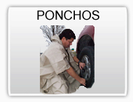 Frogg Toggs Ponchos
